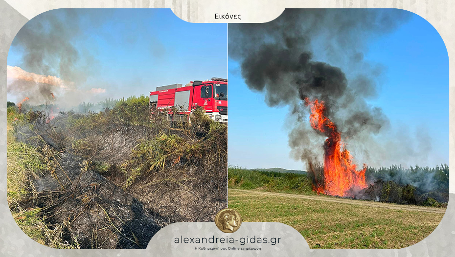 Φωτιά στην Αγία Τριάδα του δήμου Αλεξάνδρειας