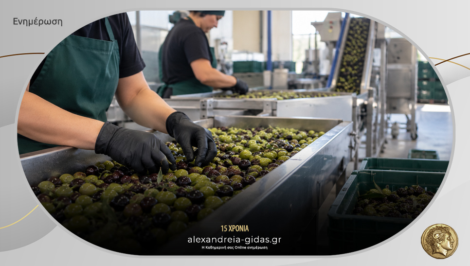 Εργατικό προσωπικό παραγωγής για πλήρη απασχόληση στην AGROLIVA στο Αιγίνιο