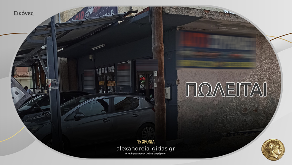 Πωλείται επαγγελματικός χώρος στην Αλεξάνδρεια